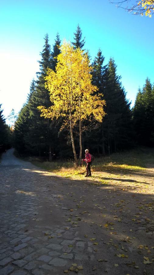 Pokoj Kameralny- De Luxe Z Oddzielnym Wejsciem Karpacz Exteriör bild